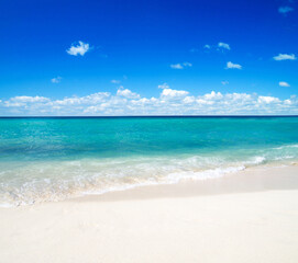 beautiful beach and tropical sea