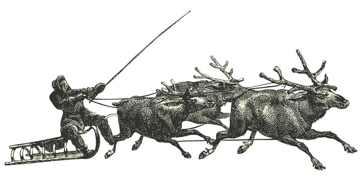 Santa Claus and reindeer vintage illustration isolated on transparent background