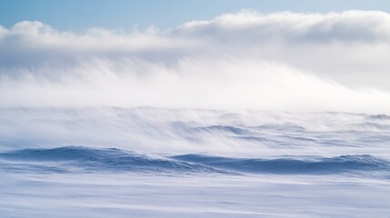 Winter Wonderland: A Landscape of Snow and Wind