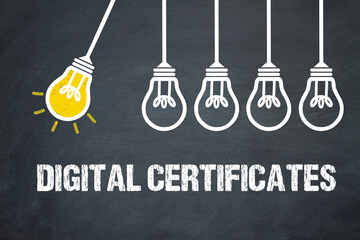 Fototapeta premium Digital Certificates 