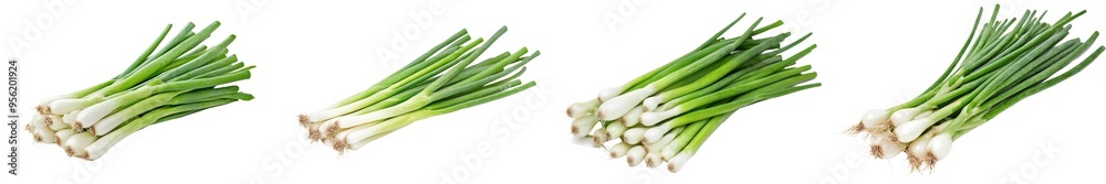Poster This is an isolated celery piece on a white background with a clipping path and full depth of field