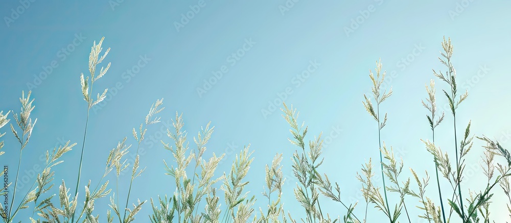 Sticker Plants set against a clear blue sky providing a serene copy space image