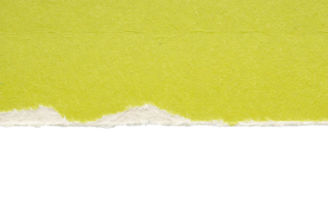 Green ripped paper torn edges strips isolated on white background