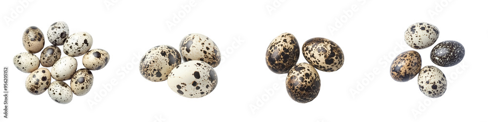 Poster a quail egg is isolated on white background, with a clipping path, and full depth of field is used