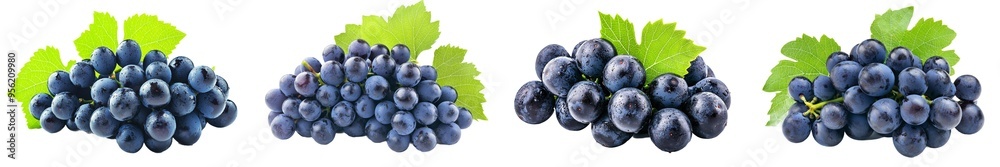 Poster full depth of field, purple grape, isolated on white background