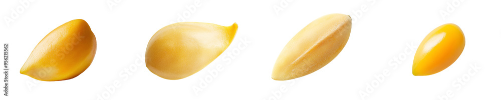 Poster the pine nut is isolated on a white background, using a clipping path to achieve full depth of field
