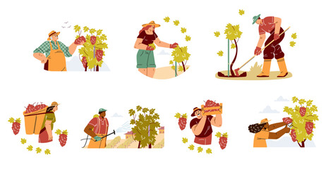 Vineyard workers and winemaking vector set