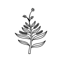 A black-and-white outline of a botanical branch featuring leaves and small berries.