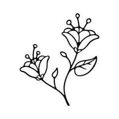 Fototapeta premium Floral branch line drawing illustration