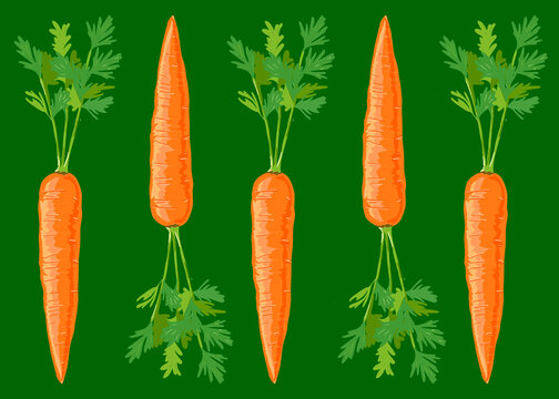 Pattern of illustrated carrots over green background