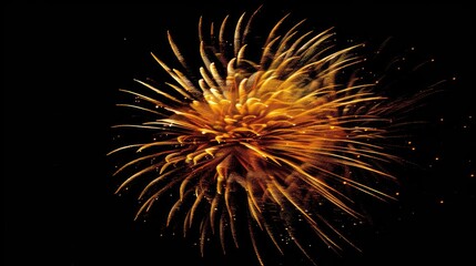 Orange and yellow fireworks on the black night sky