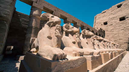 statues of many sheep in the Karnak temple in Luxor in Egypt