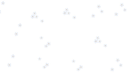 white tiny small flowers isolated on a transparent background 