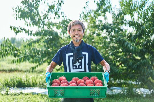 収穫した桃のカゴをかかえる日本の農家さん
