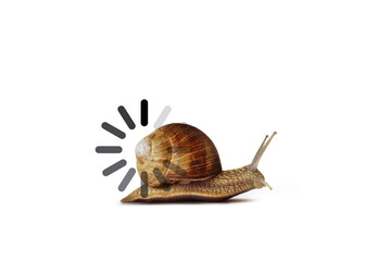 Snail with slow progress loading bar on white background - Concept of slow speed