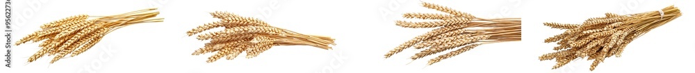 Poster clipping path, full depth of field, wheat isolated on white background