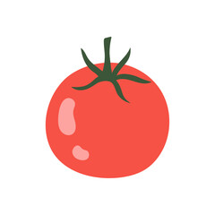 Vector illustration of a tomato isolated on a white background