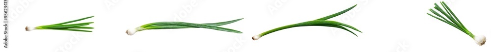 Poster An onion isolated on a white background with a full depth of field