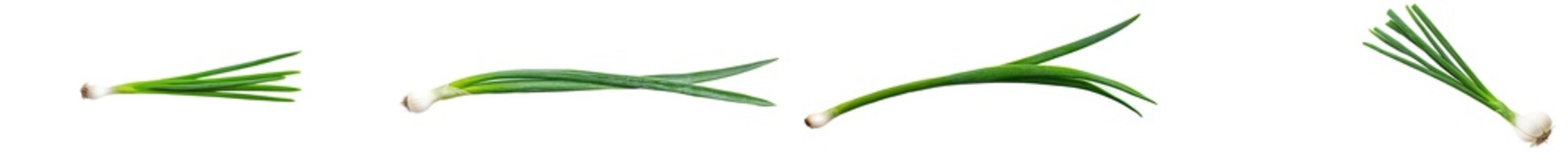 Naklejka premium An onion isolated on a white background with a full depth of field