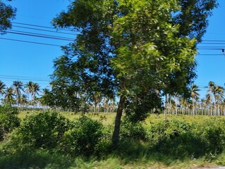 Roadside street view in Thailand
