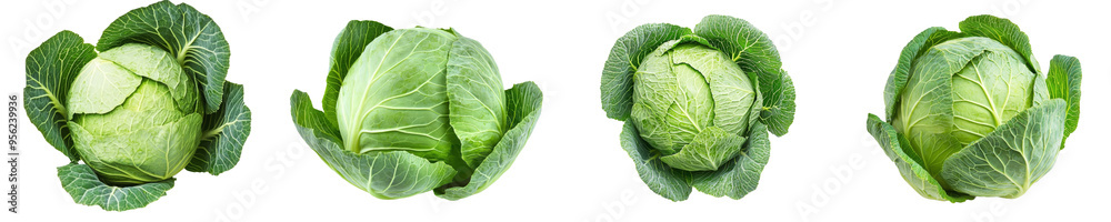 Poster savoy cabbage isolated on white background, depth of field filled with light