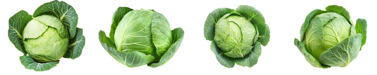 Savoy cabbage isolated on white background, depth of field filled with light