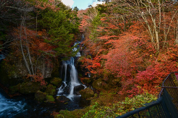 Ryuzu Falls with changing maple leaves, Nikko, Japan