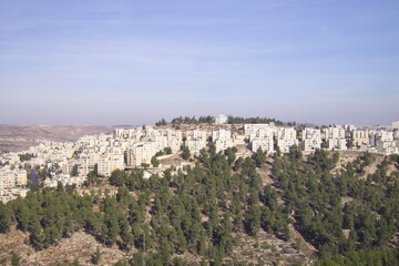 Fototapeta premium israel, apple tree, blossoms, sky, sun, city, garden, vegetable garden, white, flowers, house, shop, bench, grass