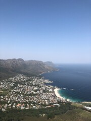 Lions head view 