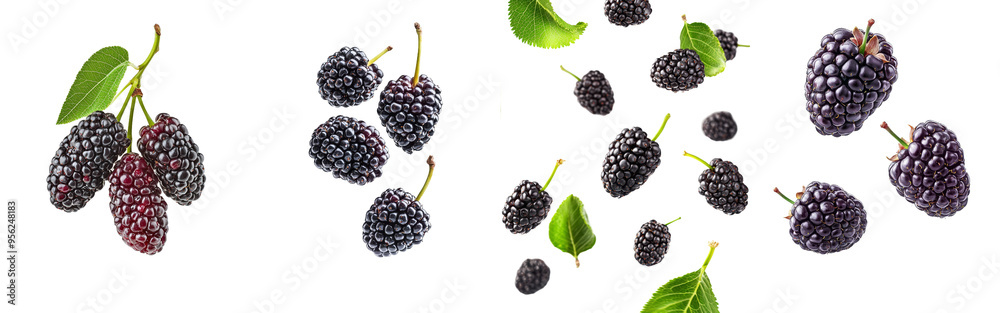 Poster an isolated fall mulberry falling on a white background with a full depth of field