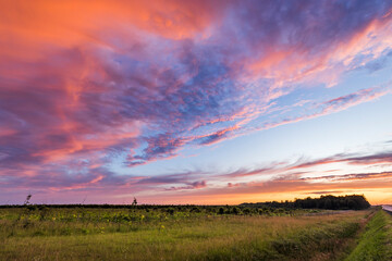 A beautiful sunset over a field of grass