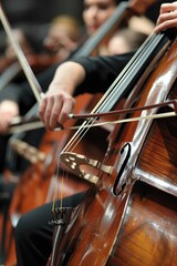 Fototapeta premium Close-Up of Cellists Playing in Orchestra. Classical Music Performance with String Instruments.