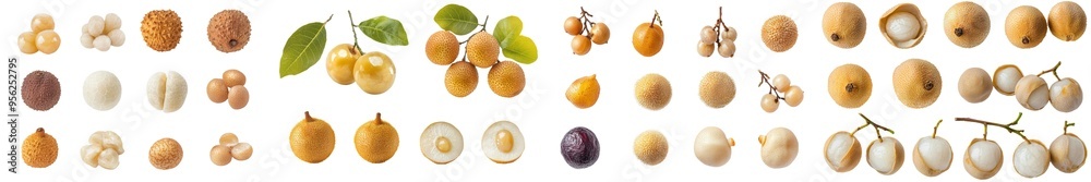 Poster detailed image of longan, isolated on white, clipped path with full depth of field