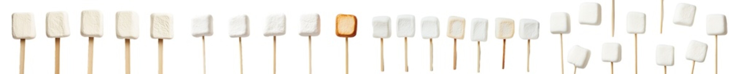 Isolated marshmallow on wooden stick with full depth of field on a white background