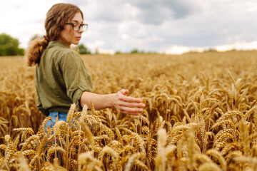 A woman farmer examines golden wheat crops in a sunlit field during the harvest season, appreciating the beauty of nature. Harvesting. Agribusiness. Gardening concept.