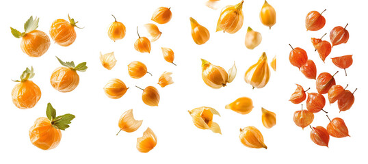 The physalis of the Cape gooseberry is isolated on a white background, with full depth of field
