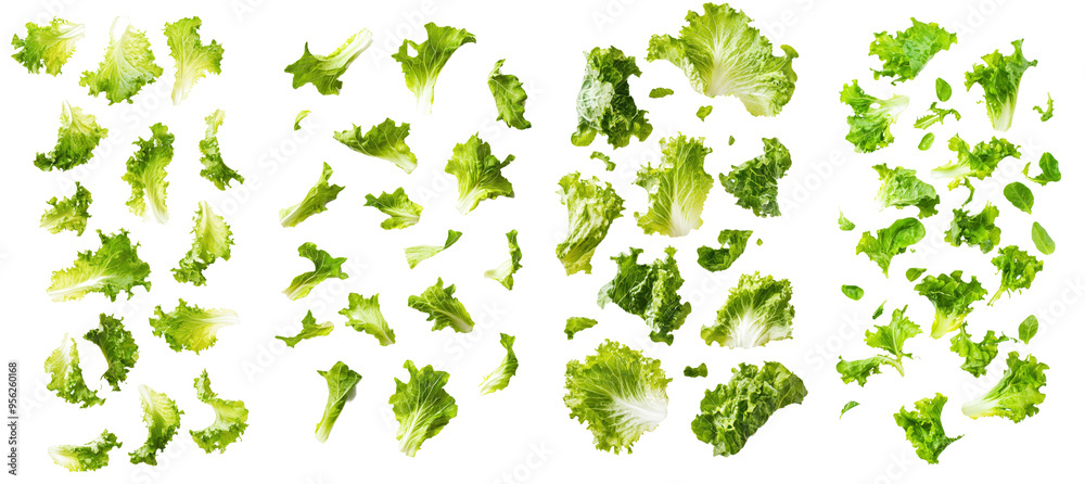 Aufkleber an isolated romain lettuce leaf falling on a white background with a full depth of field