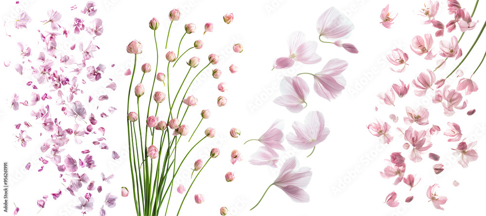 Poster the image shows a falling onion, shallot, isolated on white background, full depth of field