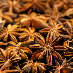 Close up Anise star food background, fragrant spices dry brown anise seeds on black background, natural organic seasoning texture, dark colored photo, selective focus