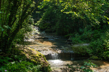 Obraz premium gorge of gea castel d'aiano waterfalls and streams among the bolognese mountains