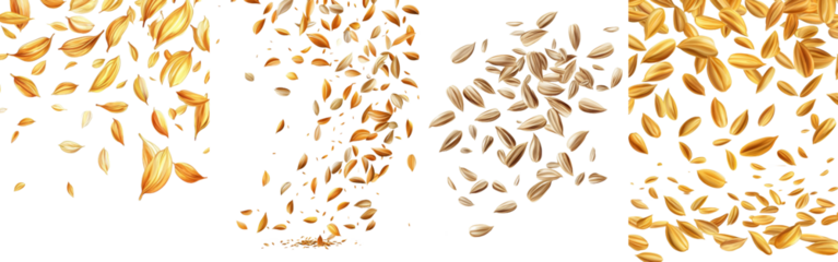 In full depth of field, one sunflower seed is falling on a white background.