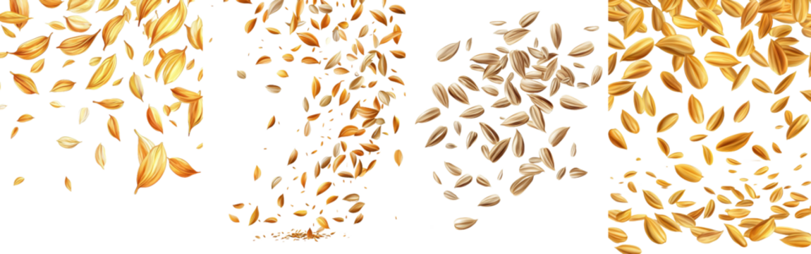 In full depth of field, one sunflower seed is falling on a white background.