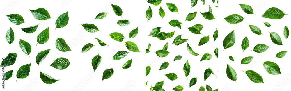 Poster a falling apple leaf with a full depth of field, isolated on a white background