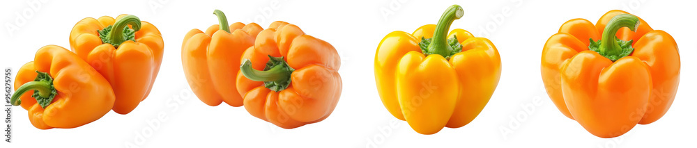 Sticker A sweet pepper, an orange paprika, and a white background are isolated on a black background in full depth of field