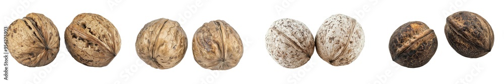 Poster Defining depth of field, walnut, nut on white background
