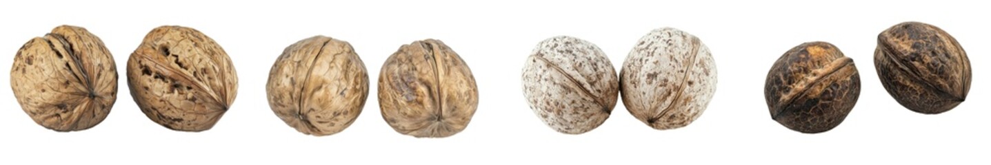 Defining depth of field, walnut, nut on white background
