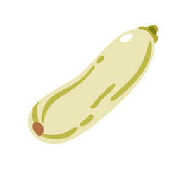 Zucchini vegetable, whole green courgette. Fresh organic healthy summer food. Natural ripe squash icon. Vitamin vegetarian eating, veggie. Flat vector illustration isolated on white background