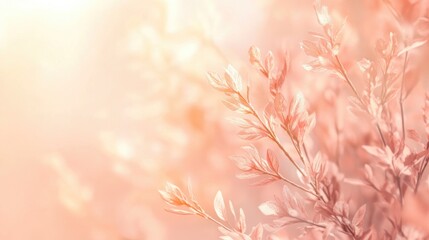 Soft peach tone background with a gentle and soothing ambiance