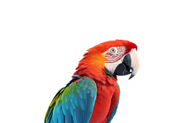 Fototapeta premium A closeup of a scarlet macaw bird. Bright and colorful birds are suitable for nature, wildlife, tropical, and exotic themes