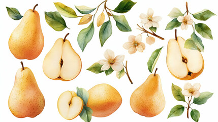 Watercolor Pears Flowers and Leaves Clipart